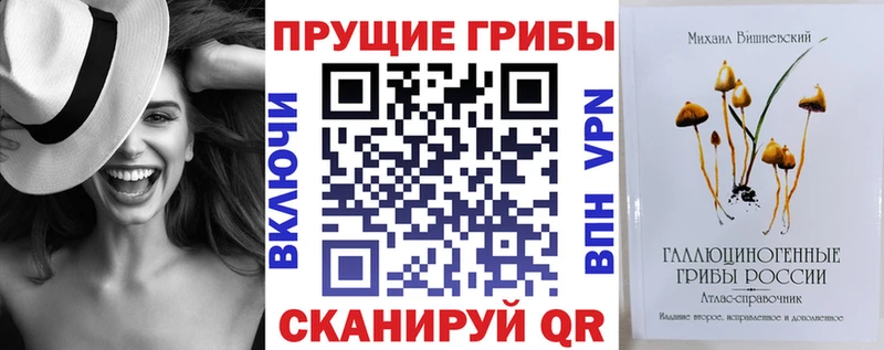блэк спрут ссылка  Озёрск  Галлюциногенные грибы Cubensis 